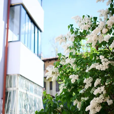 Old Town Oasis - Ap 10 Bukarest